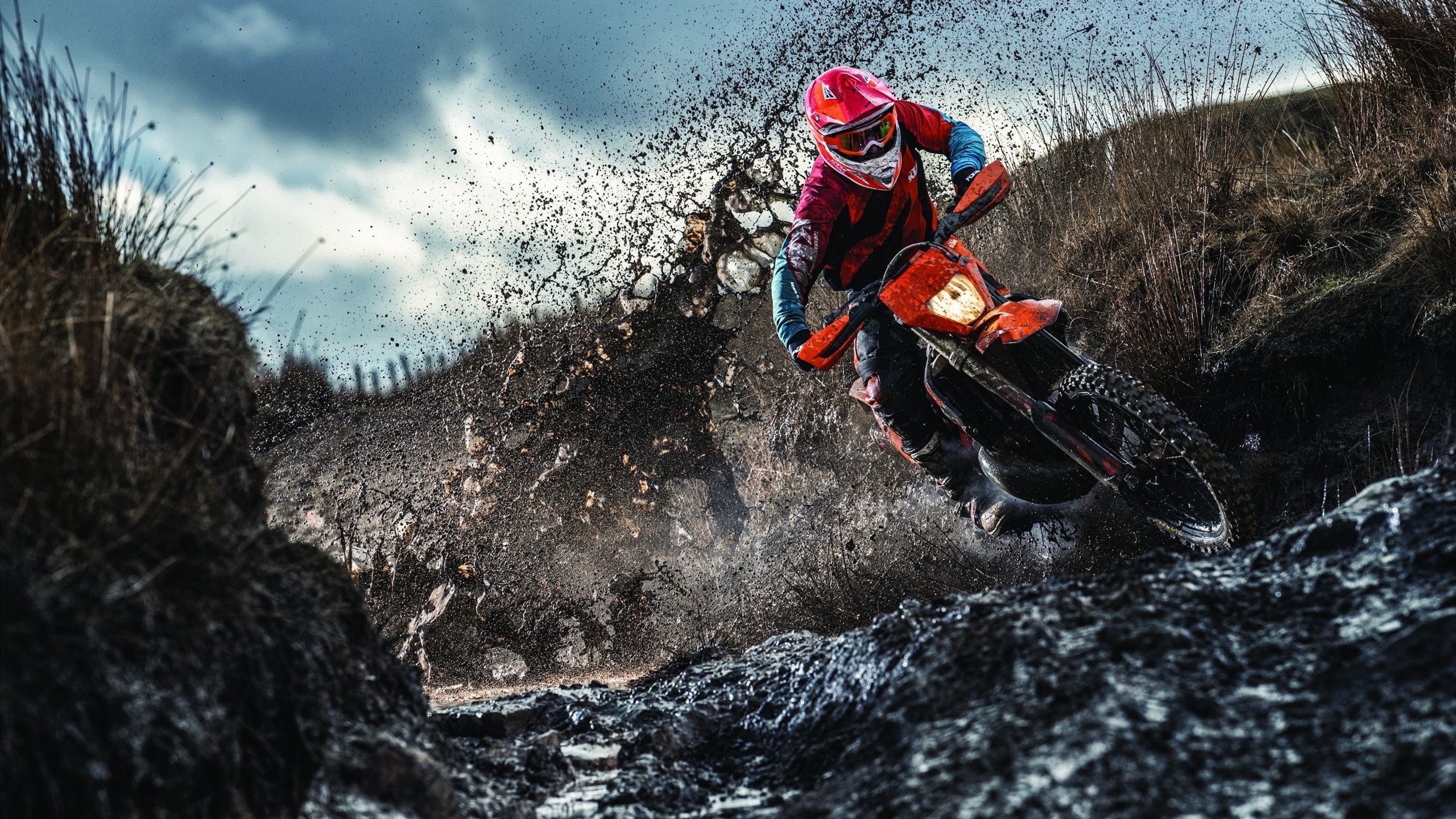 铁血蓝白，劳塔罗的锁链与波兰的逆袭